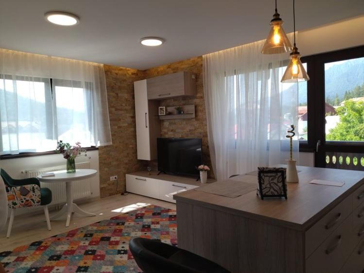 Belcara Apartment Buşteni Екстериор снимка
