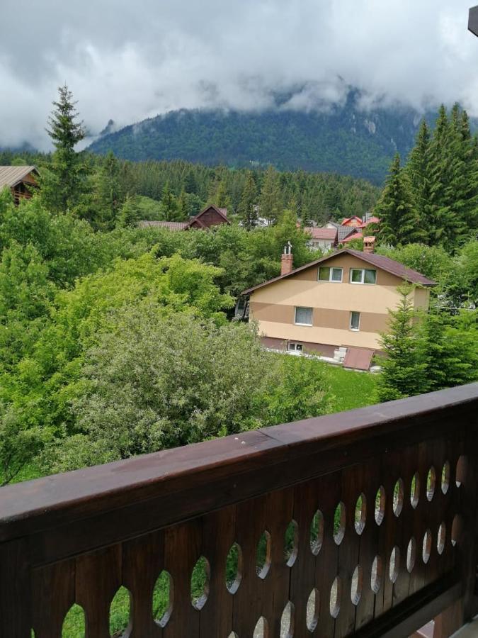 Belcara Apartment Buşteni Екстериор снимка